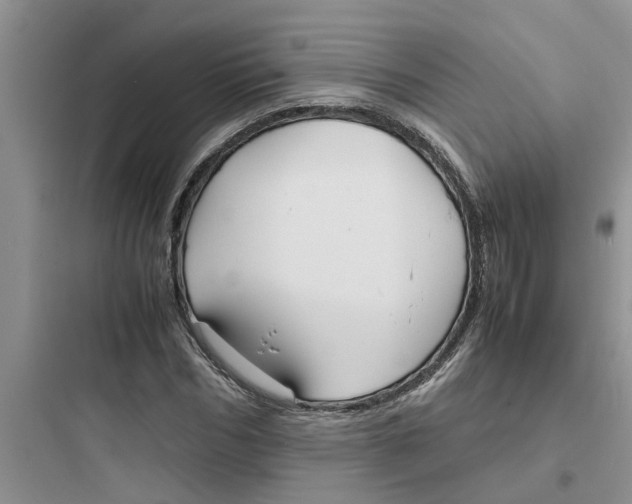 X0000097620970200803211741