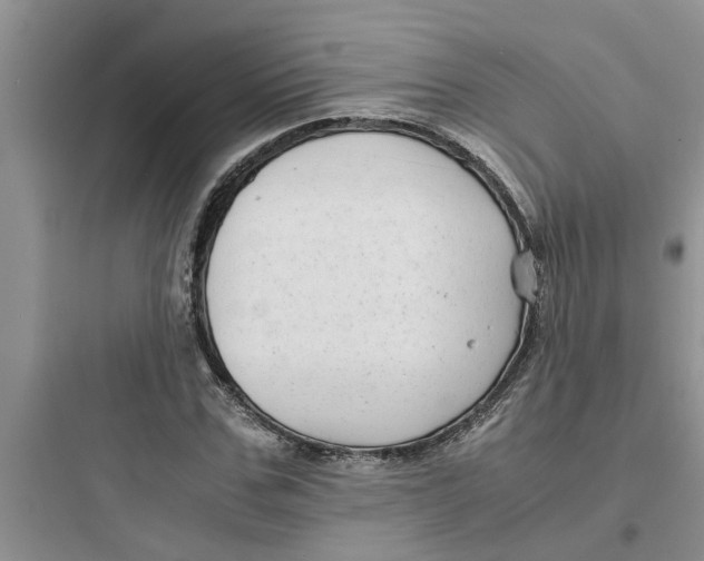 X0000097620971200803211741