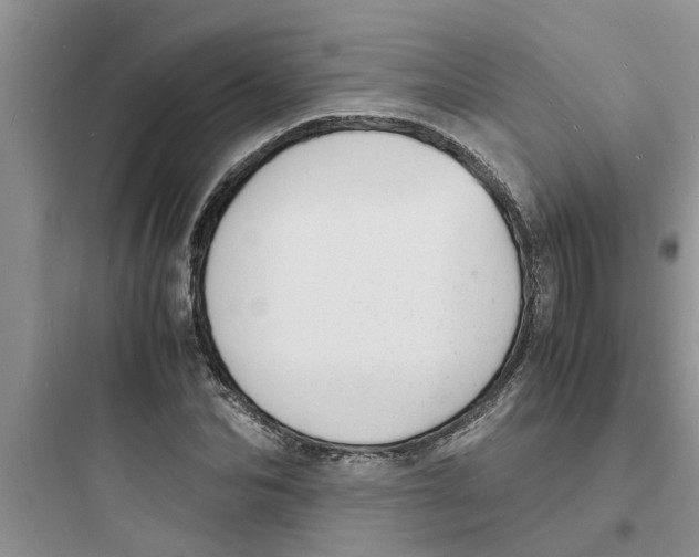 X0000097620974200803211741