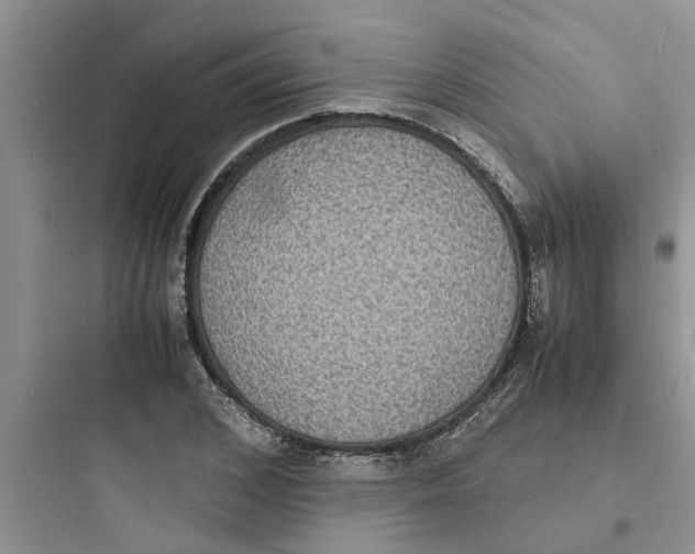 X0000097620976200803211741
