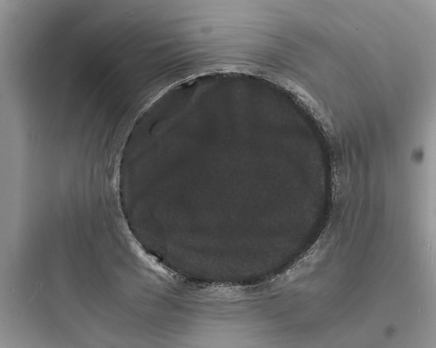 X0000097620977200803211741