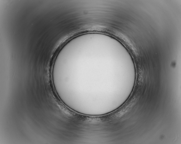 X0000097620978200803211741