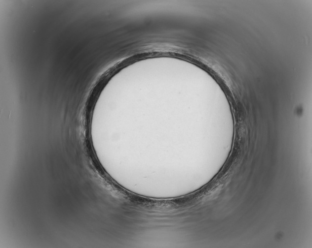 X0000097620979200803211741