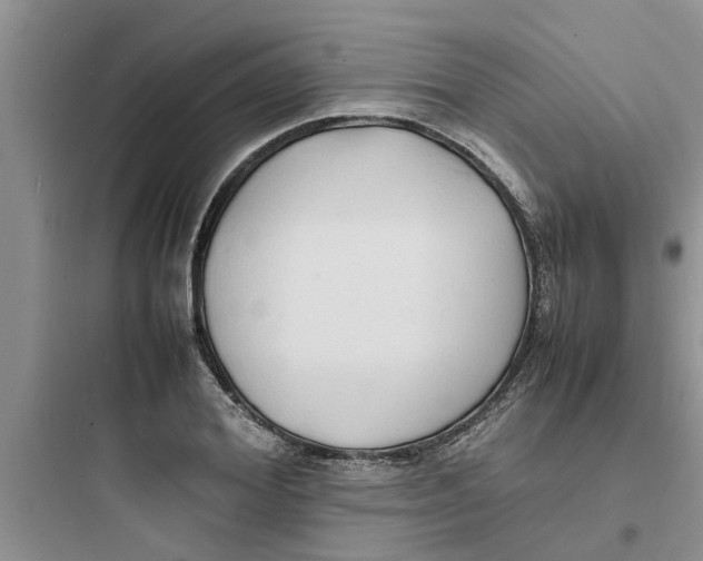 X0000097620980200803211741