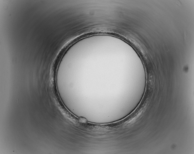 X0000097620981200803211741