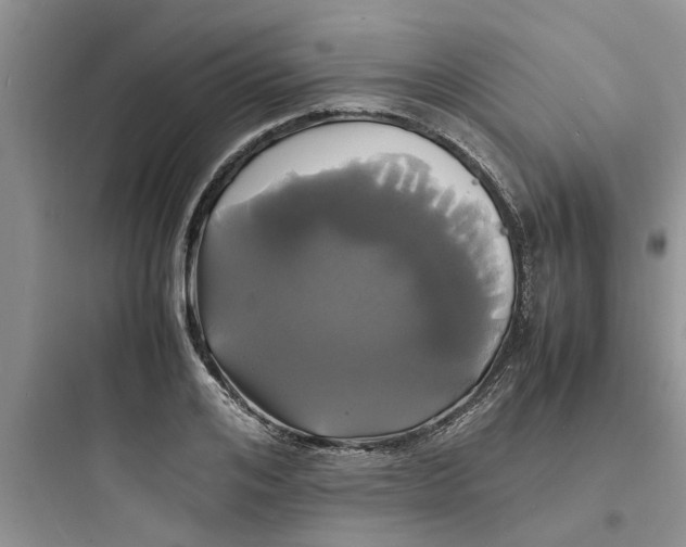 X0000097620984200803211741