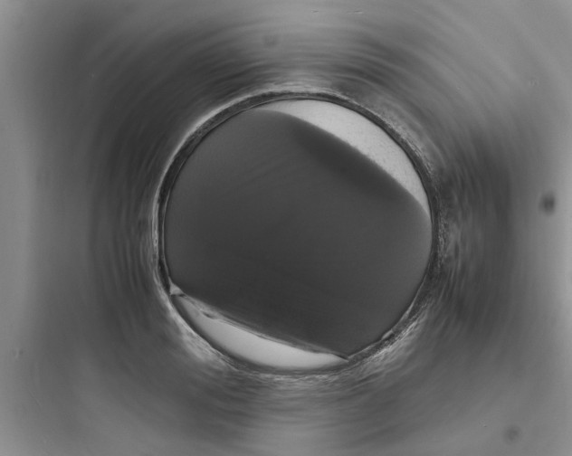 X0000097620988200803211741