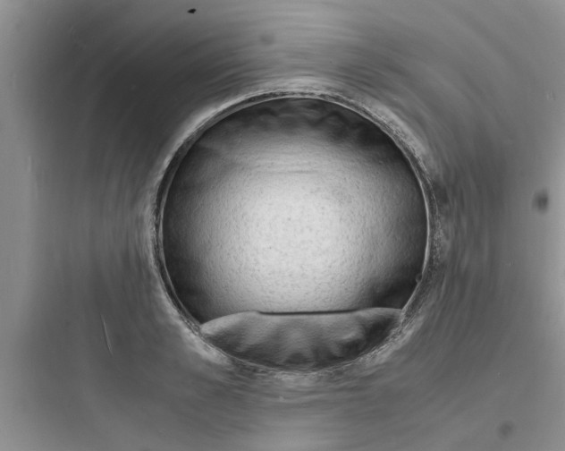 X0000097620989200803211741