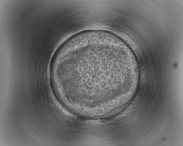 X0000097620990200803211741