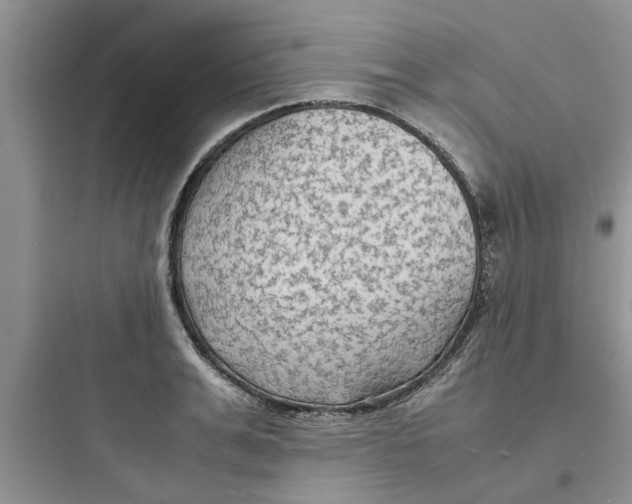 X0000097620991200803211741
