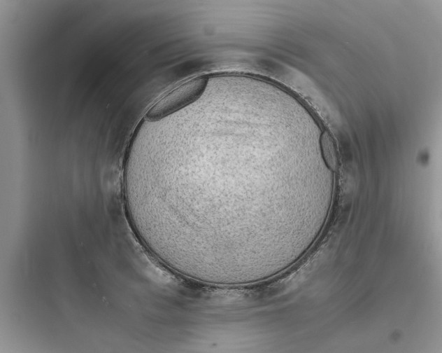 X0000097620993200803211741