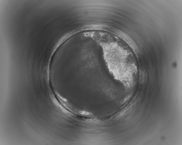 X0000097620994200803211741