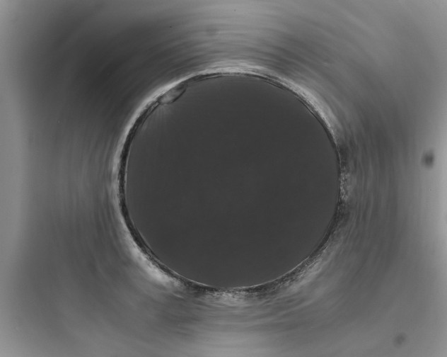X0000097620995200803211741