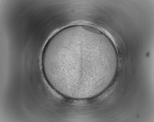 X0000097620997200803211741