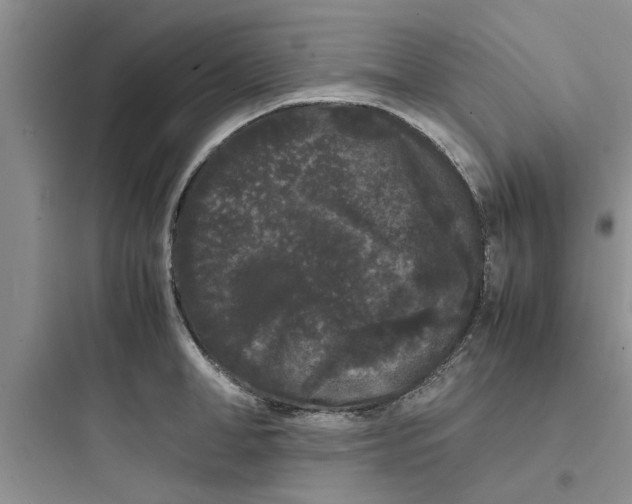 X0000097620998200803211741