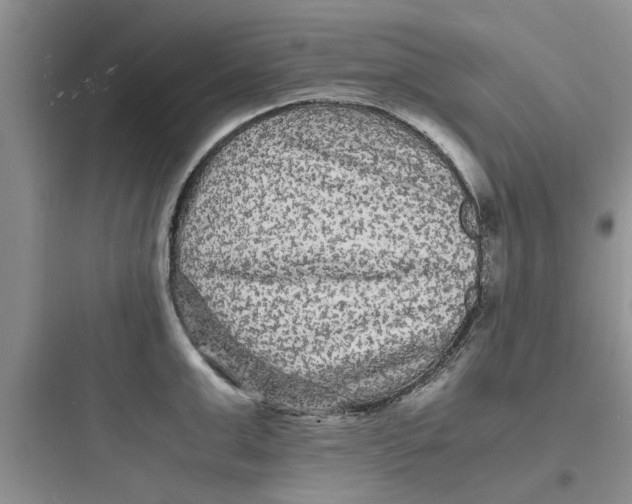 X0000097620999200803211741