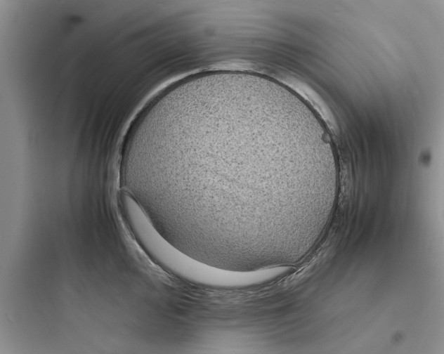 X0000097621000200803211741