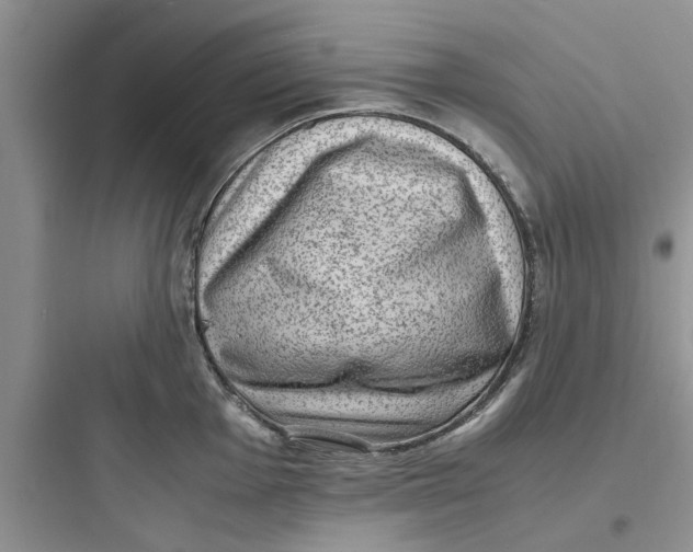 X0000097621001200803211741
