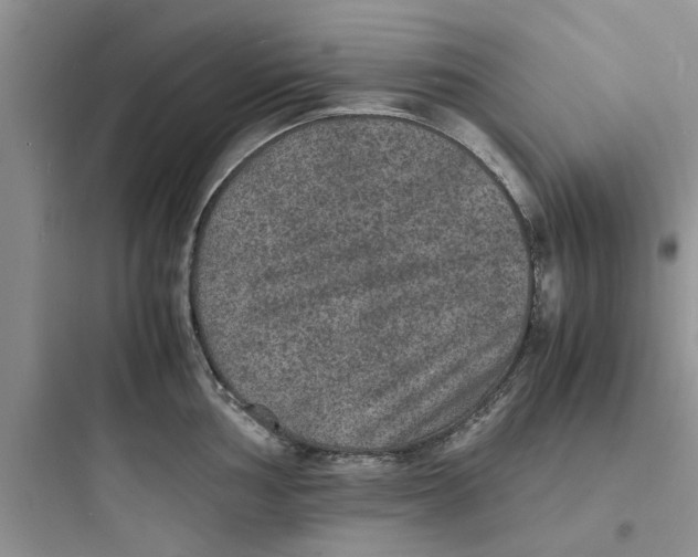X0000097621002200803211741