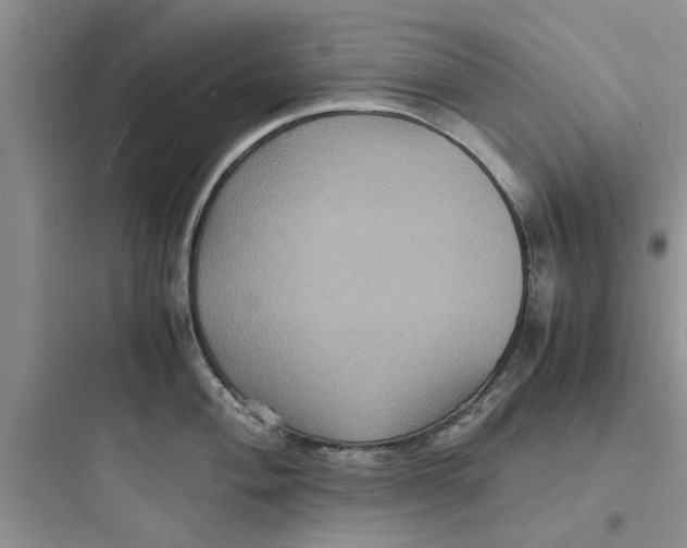 X0000097621004200803211741