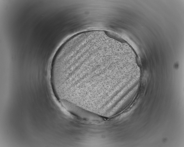 X0000097621005200803211741