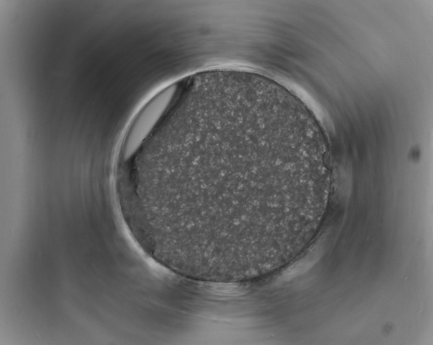 X0000097621007200803211741