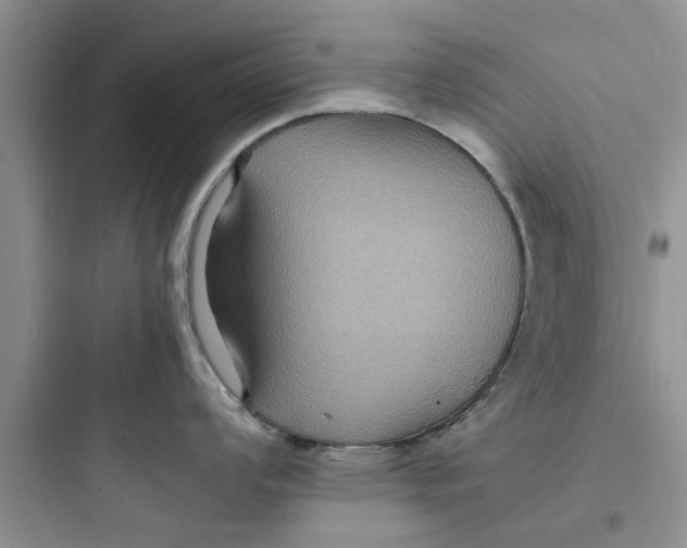 X0000097621008200803211741