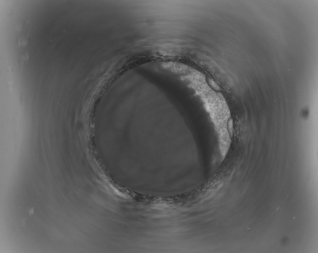 X0000097621009200803211740
