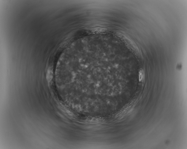 X0000097621011200803211740