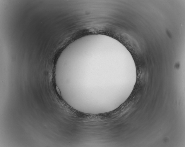 X0000097621012200803211740