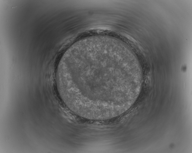 X0000097621014200803211740