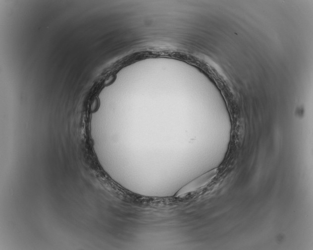 X0000097621016200803211740