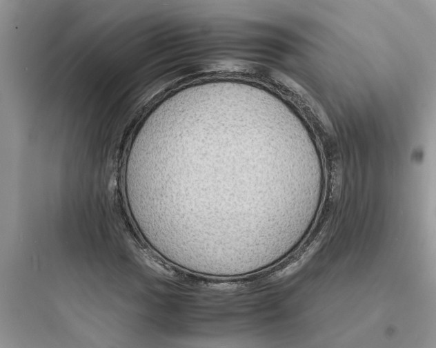X0000097621017200803211740