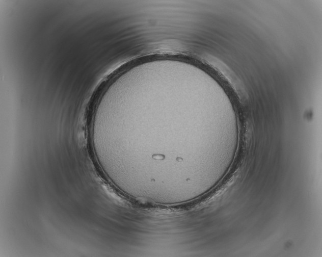 X0000097621018200803211740