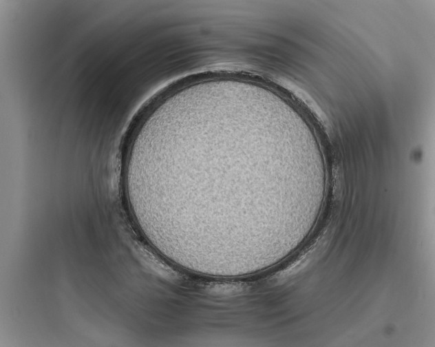 X0000097621021200803211740