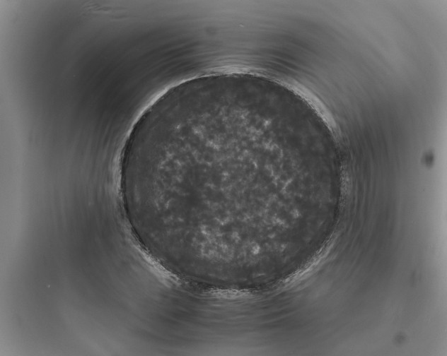 X0000097621023200803211740