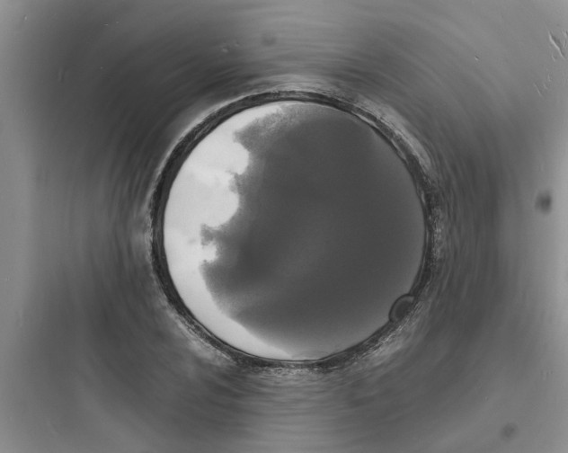 X0000097621024200803211740