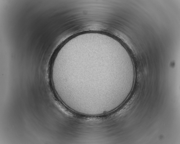 X0000097621026200803211741
