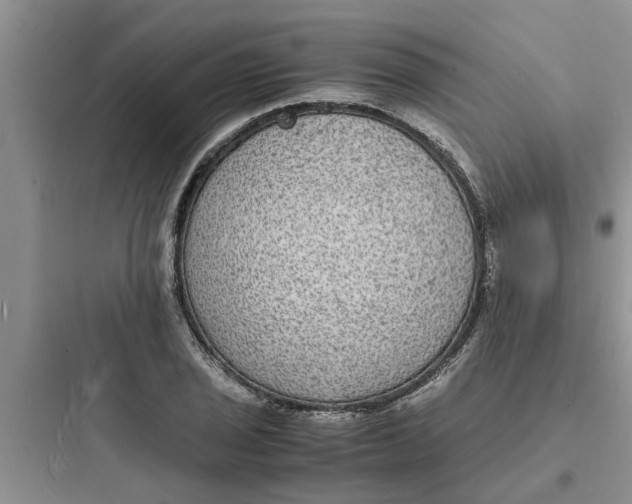 X0000097621029200803211741