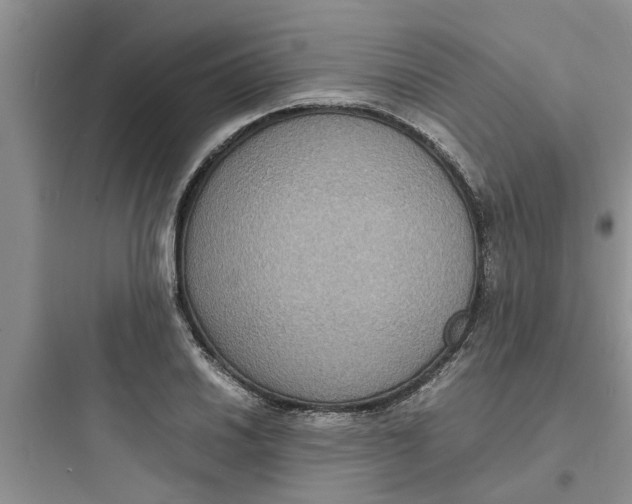 X0000097621030200803211741