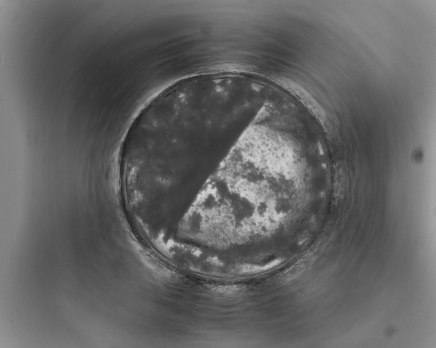 X0000097621031200803211741