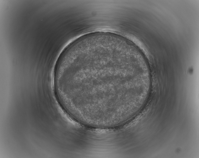 X0000097621032200803211741