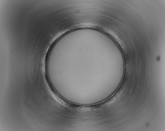 X0000097621034200803211741