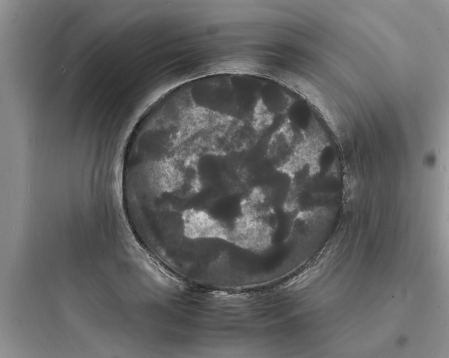 X0000097621035200803211741