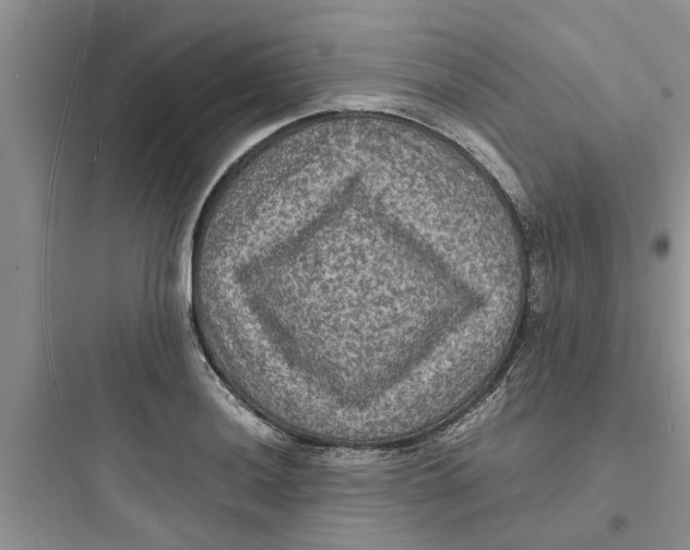 X0000097621036200803211741