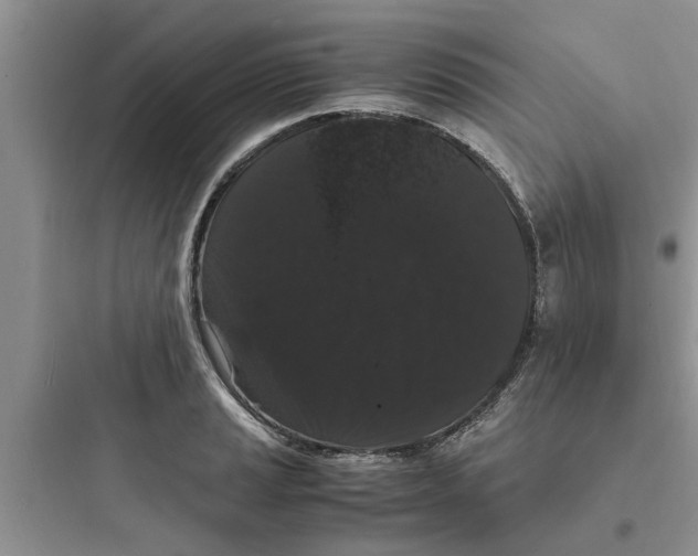 X0000097621037200803211741
