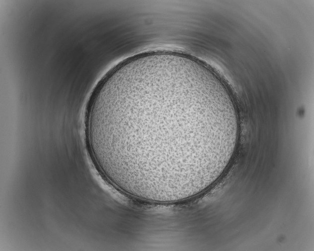 X0000097621038200803211741