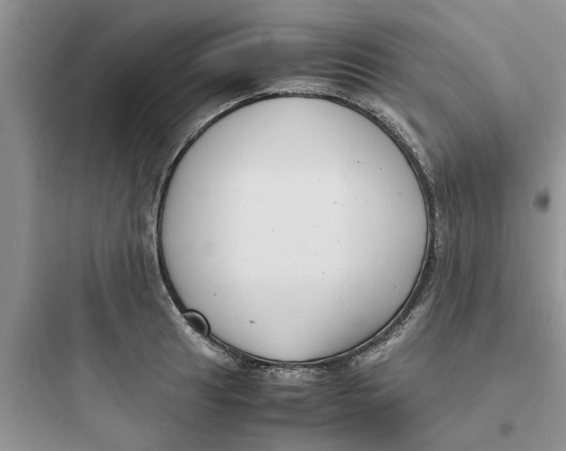 X0000097621041200803211741