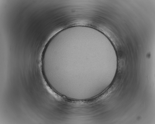 X0000097621042200803211741
