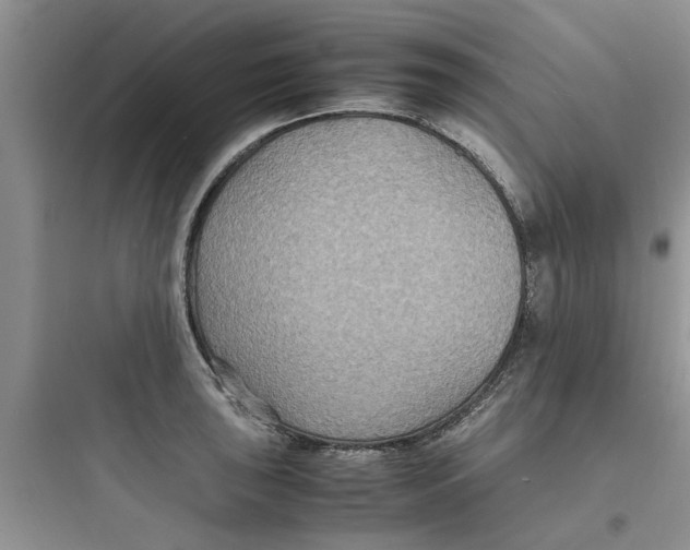 X0000097621043200803211741